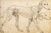 ZUCCARO Federico Studies of a Greyhound painting